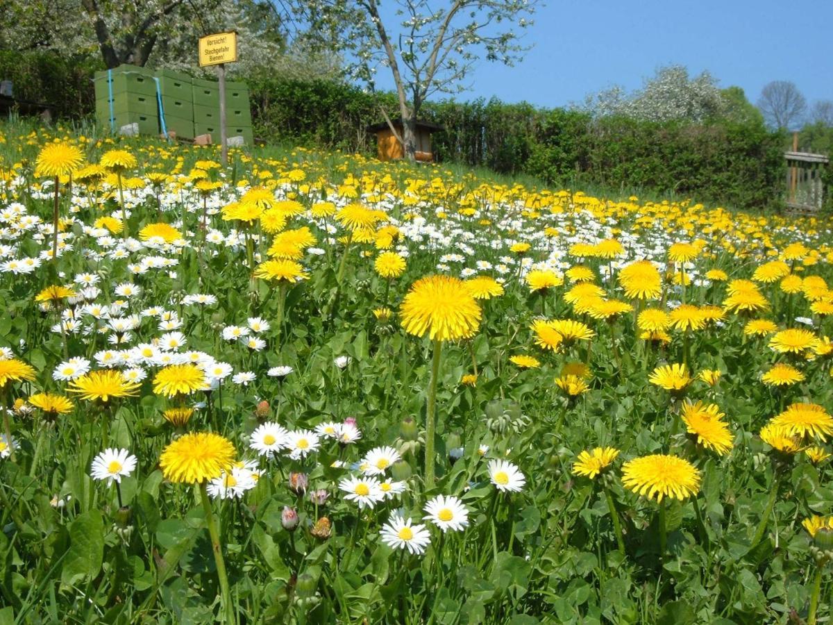 Ferienwohnungen "Allerleigruen" Langenroda 외부 사진