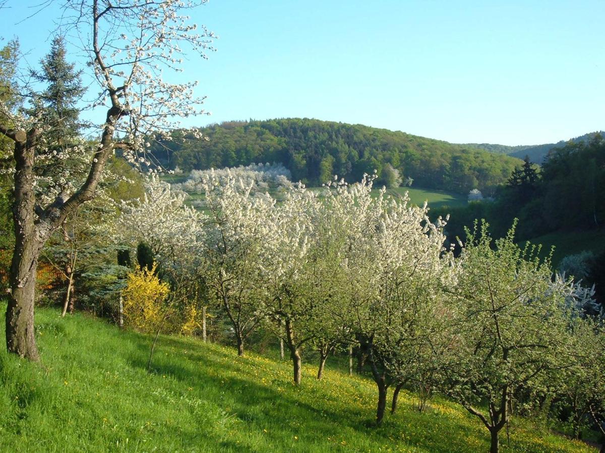 Ferienwohnungen "Allerleigruen" Langenroda 외부 사진